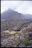 Wildflowers and the Baltoro Glacier, Pakistan